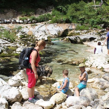 Apartments Villa Dov Bohinj Εξωτερικό φωτογραφία