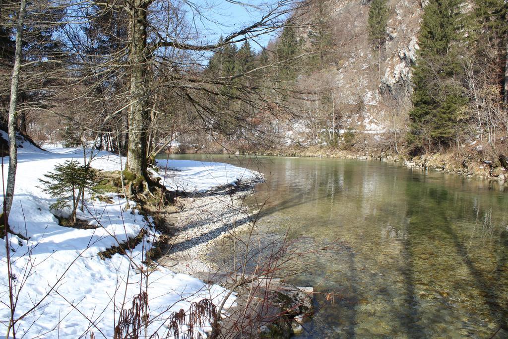 Apartments Villa Dov Bohinj Εξωτερικό φωτογραφία