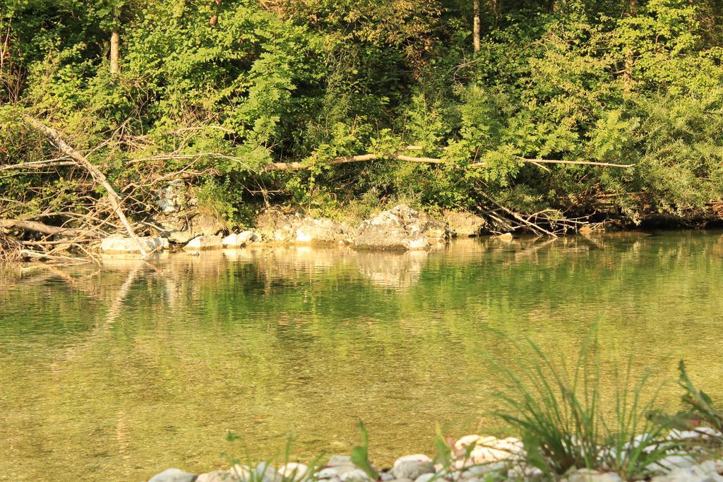 Apartments Villa Dov Bohinj Εξωτερικό φωτογραφία