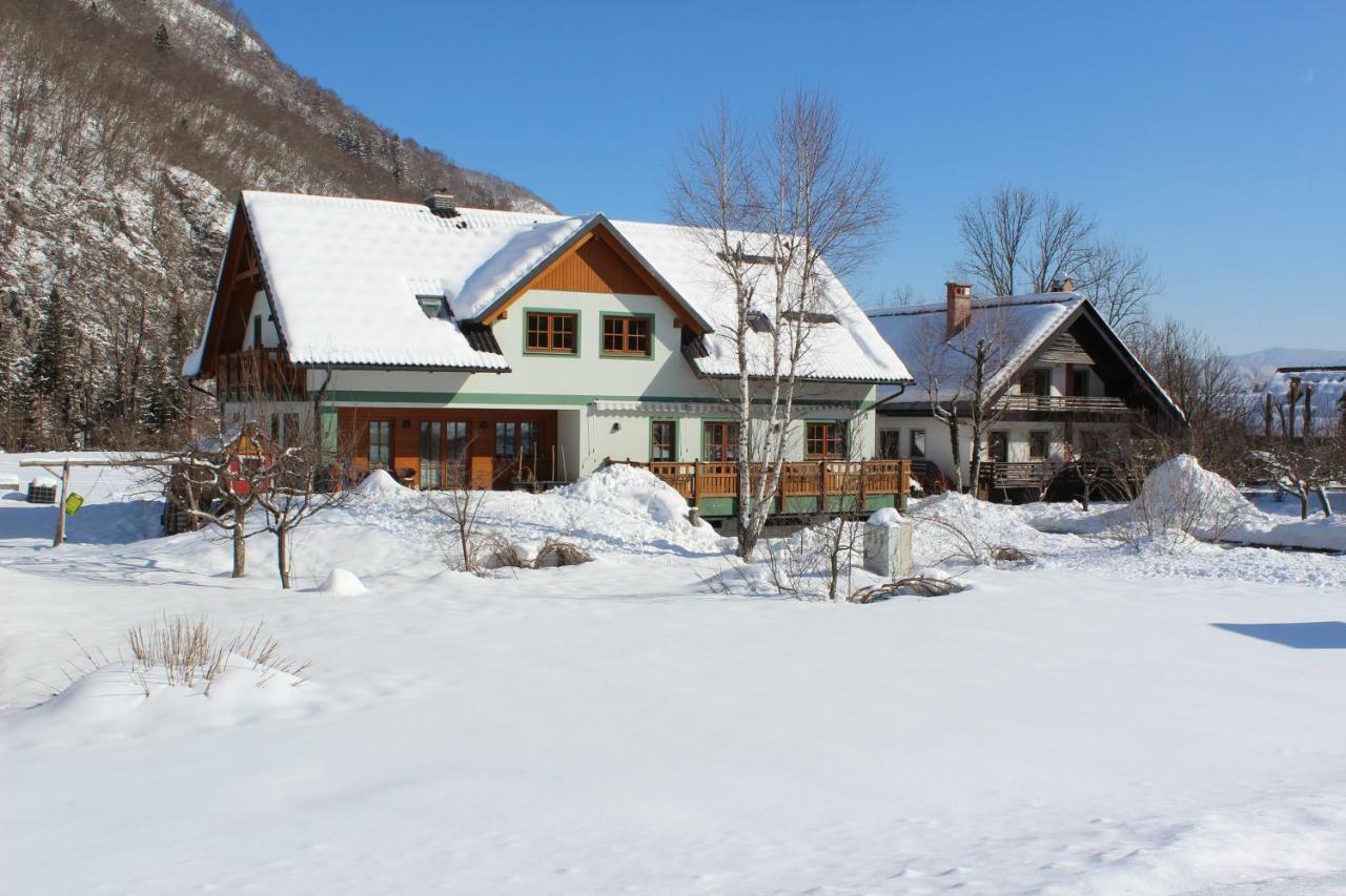 Apartments Villa Dov Bohinj Εξωτερικό φωτογραφία