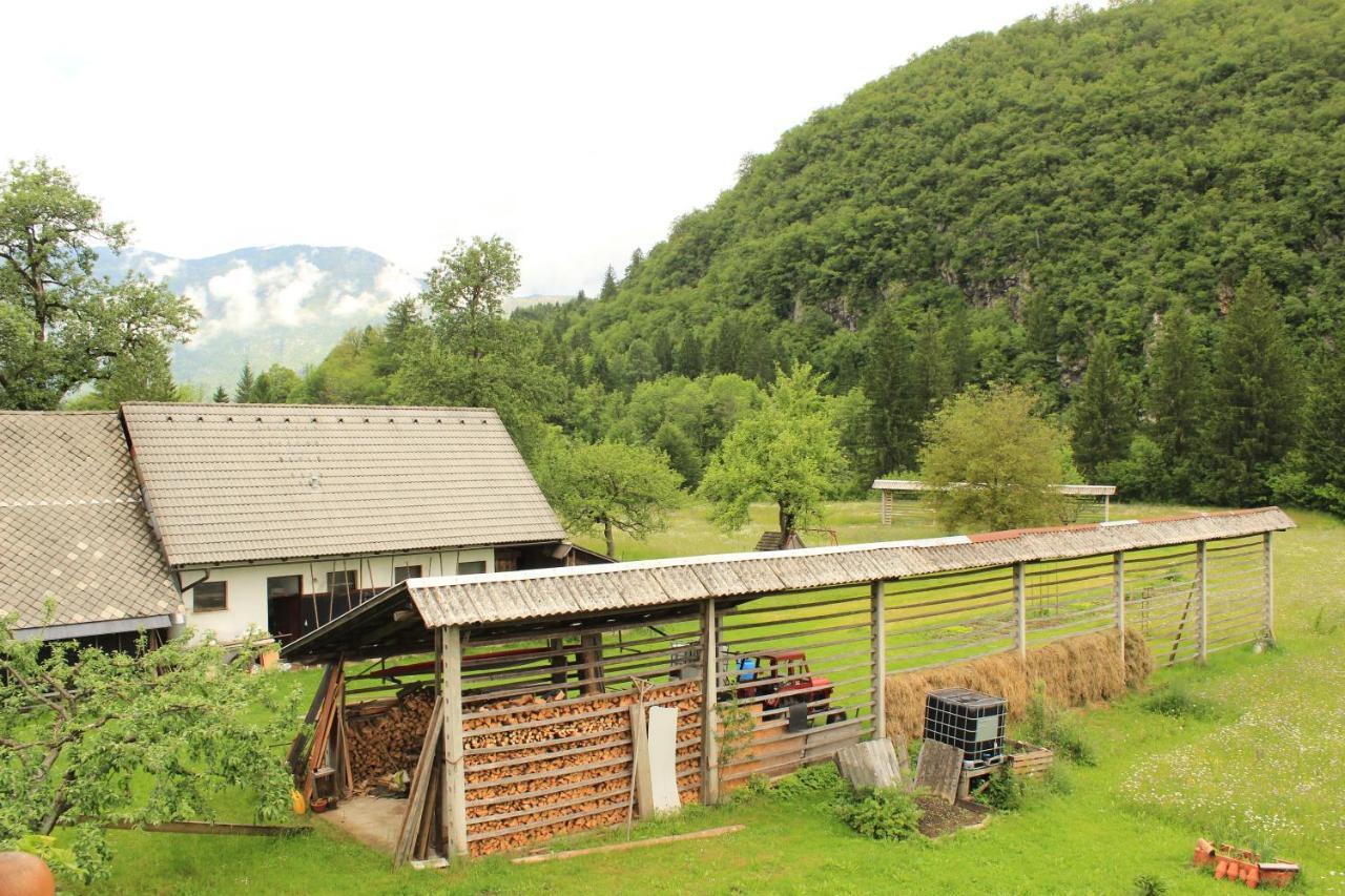 Apartments Villa Dov Bohinj Εξωτερικό φωτογραφία